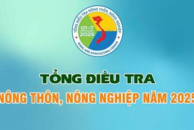 Từ ngày 01/3/2025 bắt đầu thu thập thông tin bảng kê hộ - khâu quan trọng trong thực hiện Tổng điều tra nông thôn, nông nghiệp năm 2025